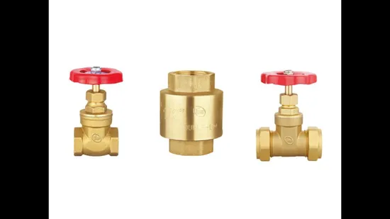 Industrial Bronze Check Valves Water Manual Shutoff Pn20 Pressure Rated Swing Type Valve OEM Supplier